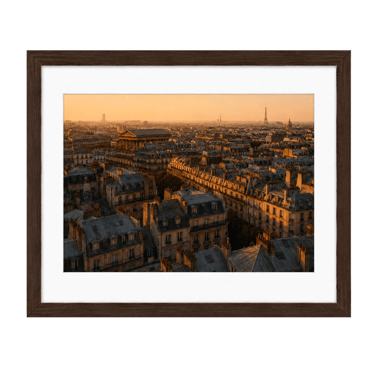 Above the Rooftops