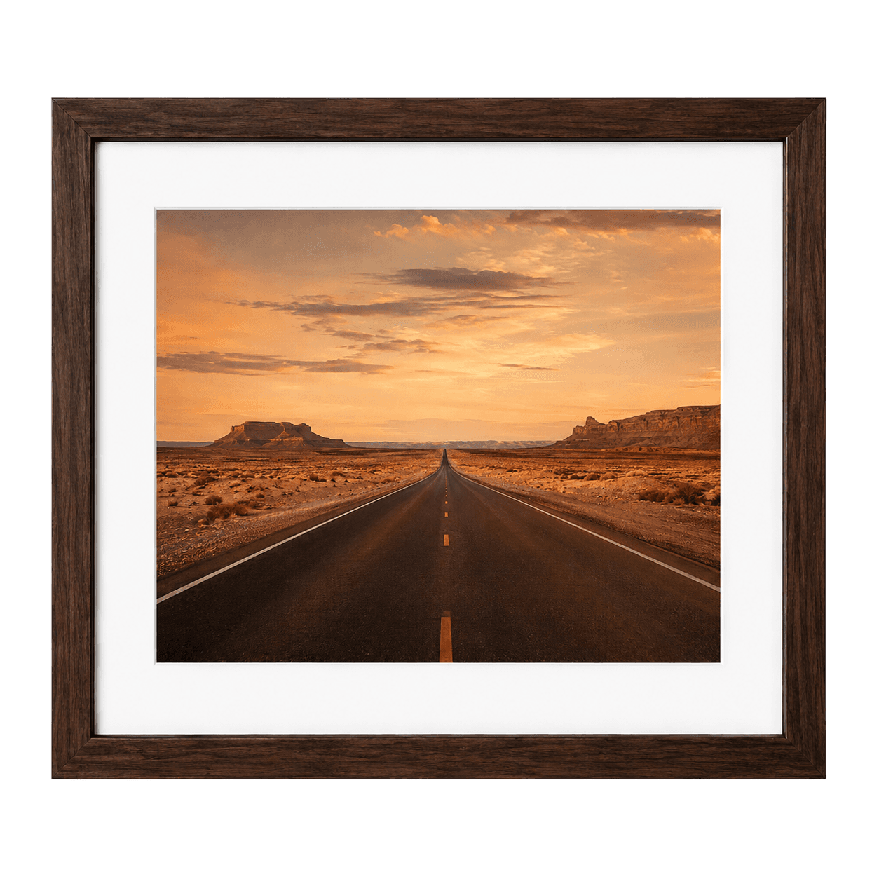 Desert Road, view 1