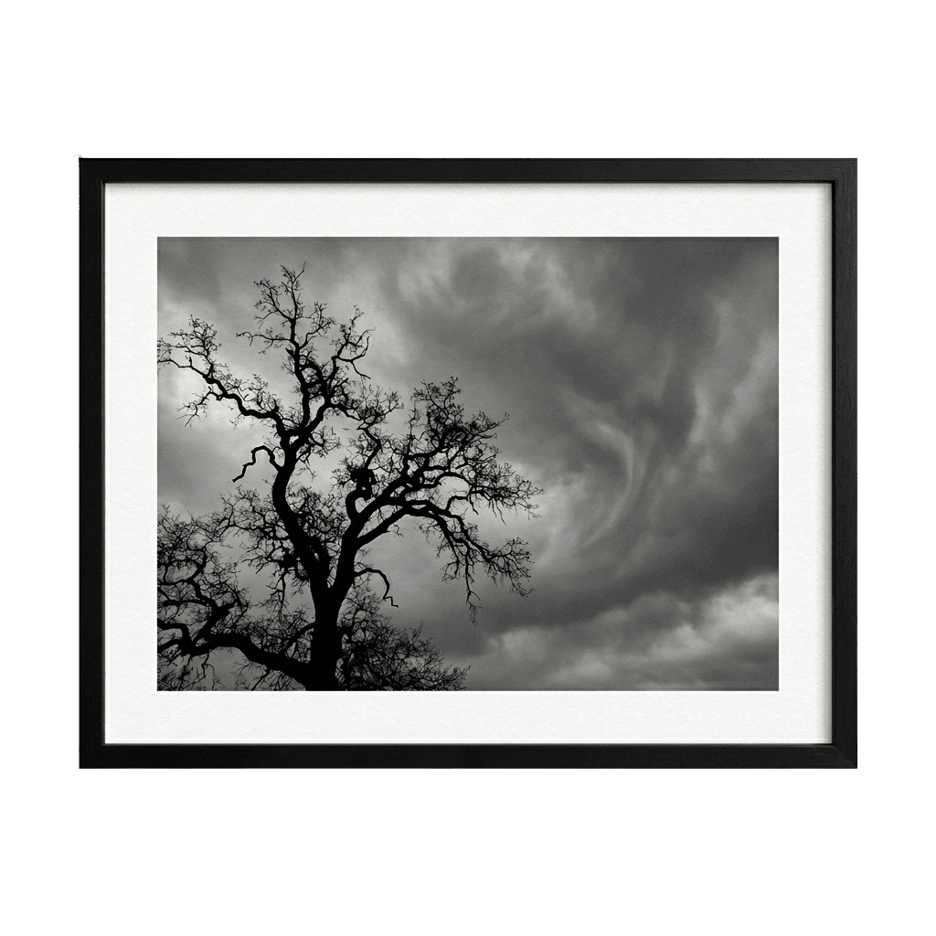 Whispers Before the Storm, view 1