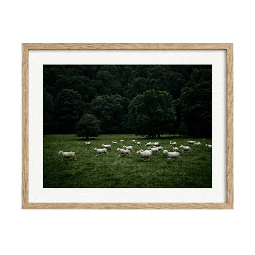 Silent Meadow, view 1