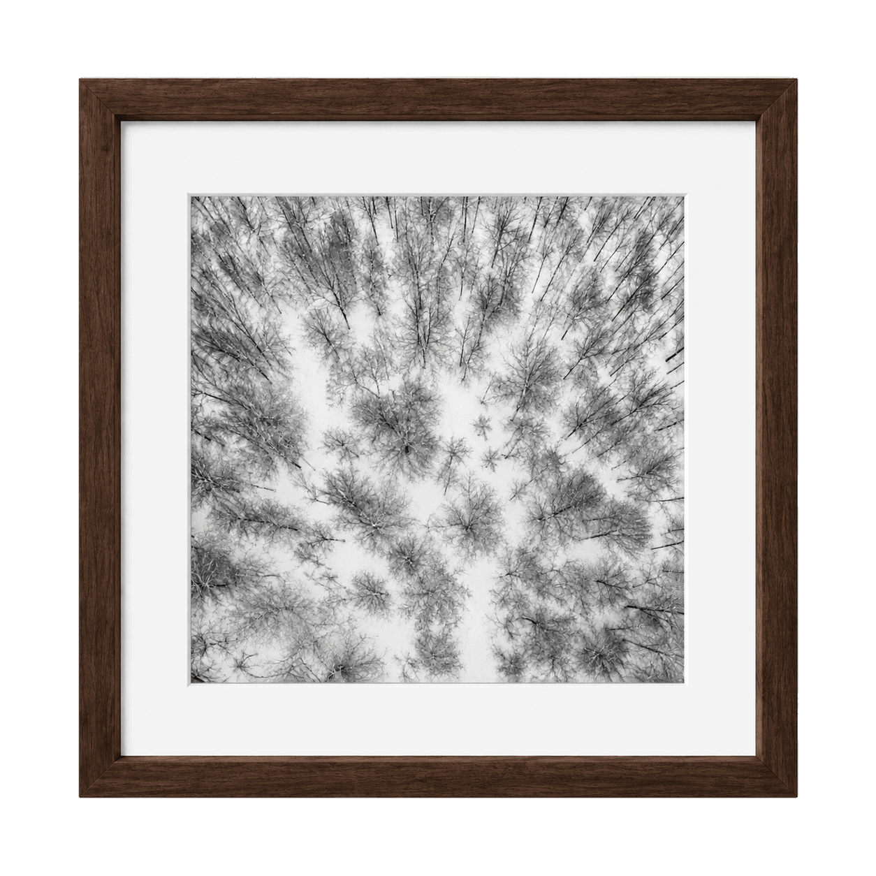 Winter Geometry, view 1